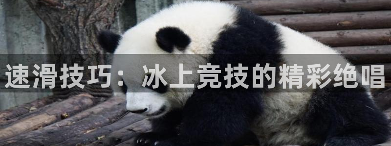 意昂体育