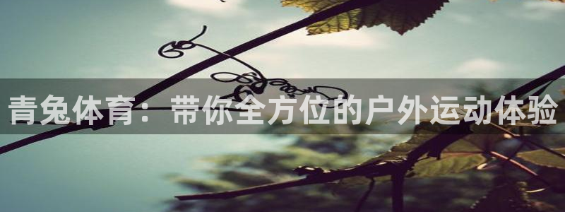 意昂4