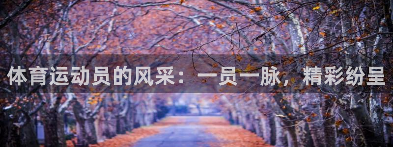 意昂3登陆