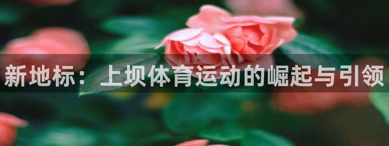 意昂平台注册