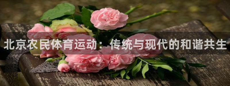 意昂5招商