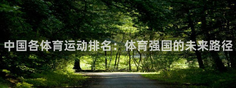 意昂体育凯捷平台代理
