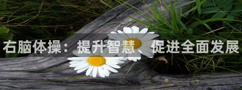 意昂3平台注册