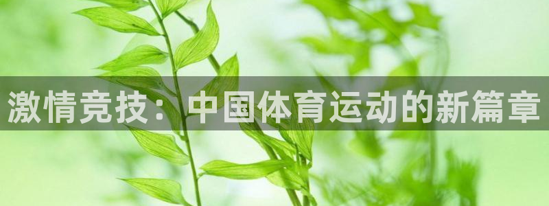 意昂是什么品牌