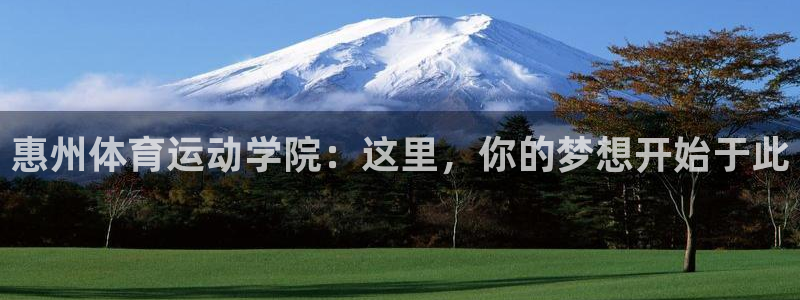 意昂官网