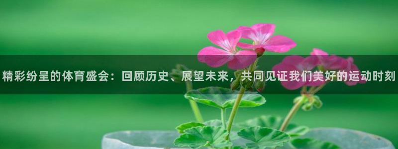 意昂2登录地址
