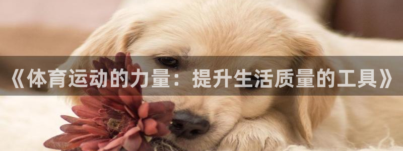 北京意昂科技有限公司