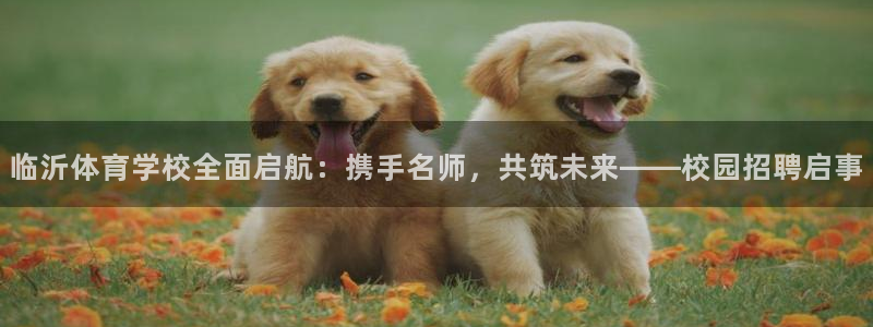 意昂的动画