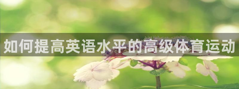 意昂体育代理