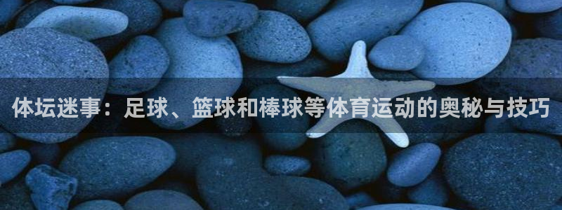 杭州意昂科技有限公司