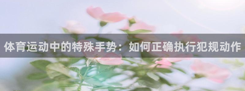 意昂体育凯捷平台代理