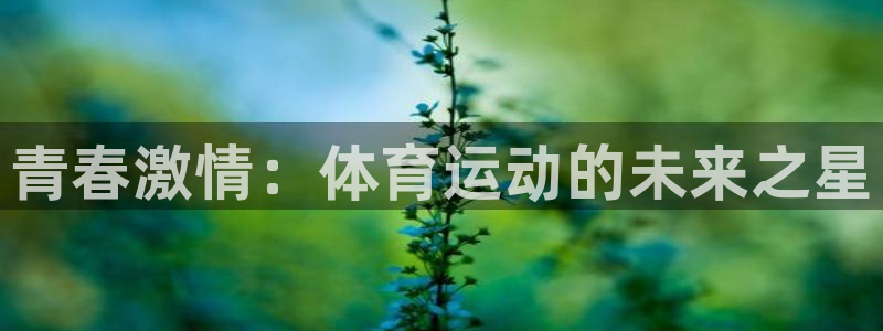 意昂体育注册